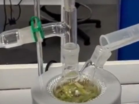 12 olympiades biologie