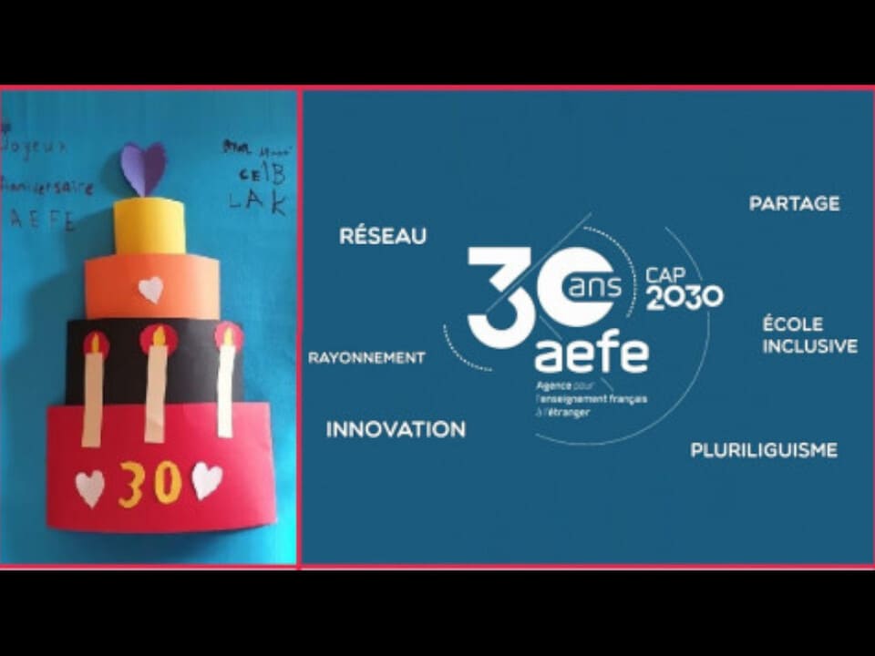 29 aefe 30 ans