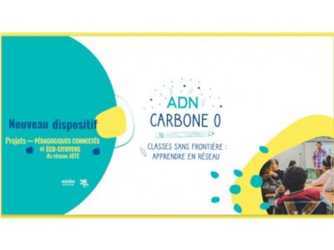 40 adn carbone 0