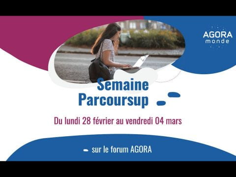 6 parcoursup