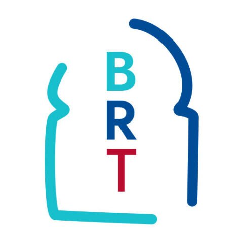 cropped favicon br.jpg