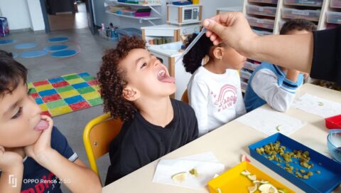 whatsapp image 2024 10 16 at 13.04.16