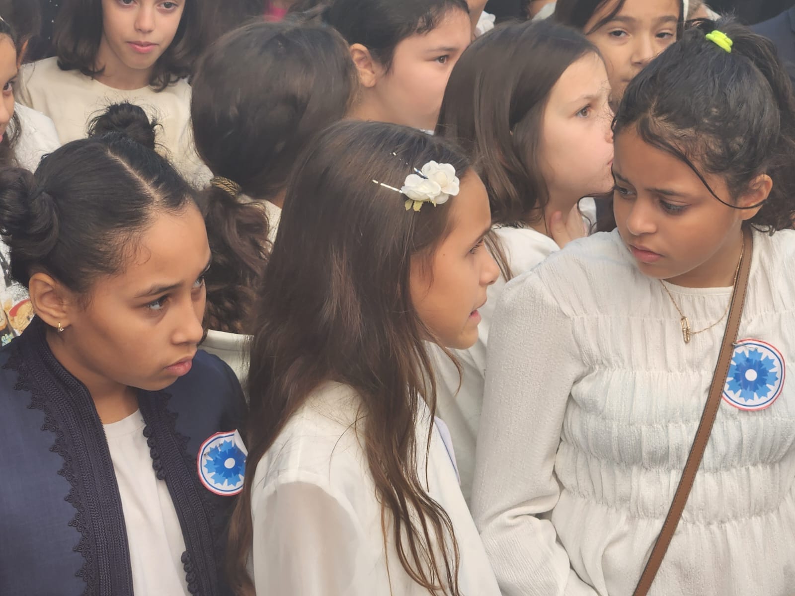 whatsapp image 2025 11 11 at 14.38.39