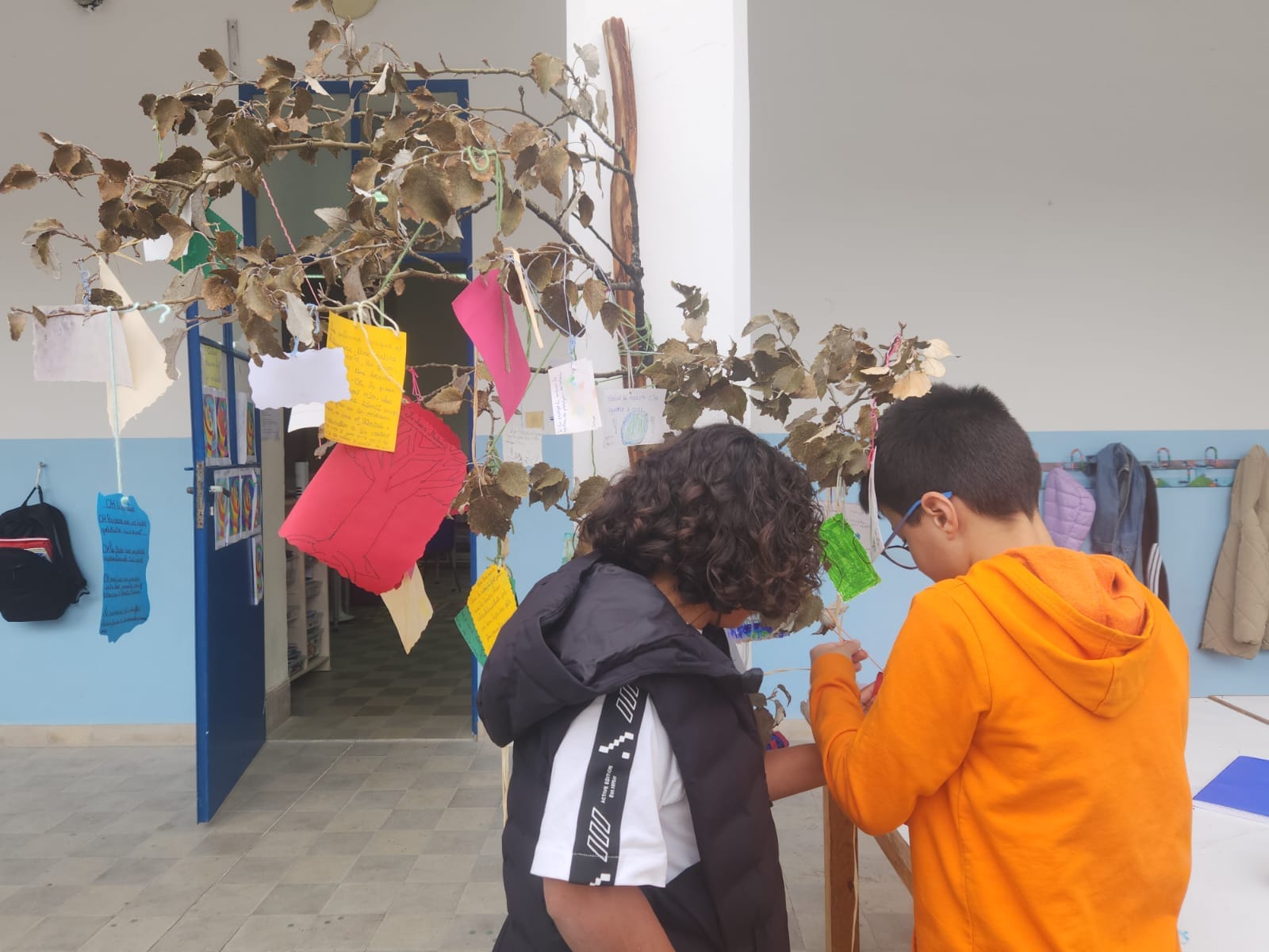 whatsapp image 2025 12 03 at 09.01.34