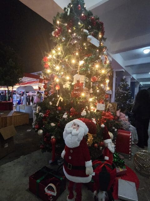 whatsapp image 2025 12 18 at 08.44.00