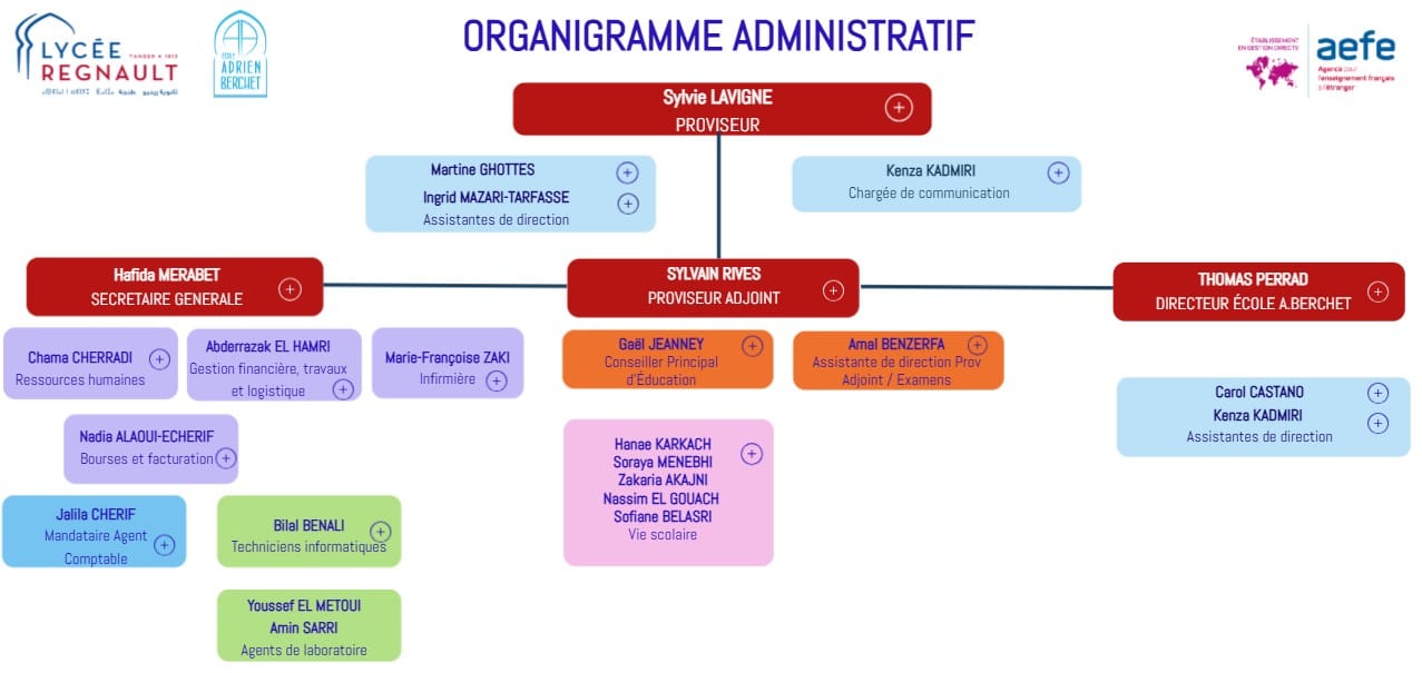 organigramme 26 27